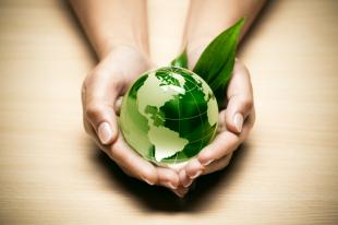 Green Globe in Hand